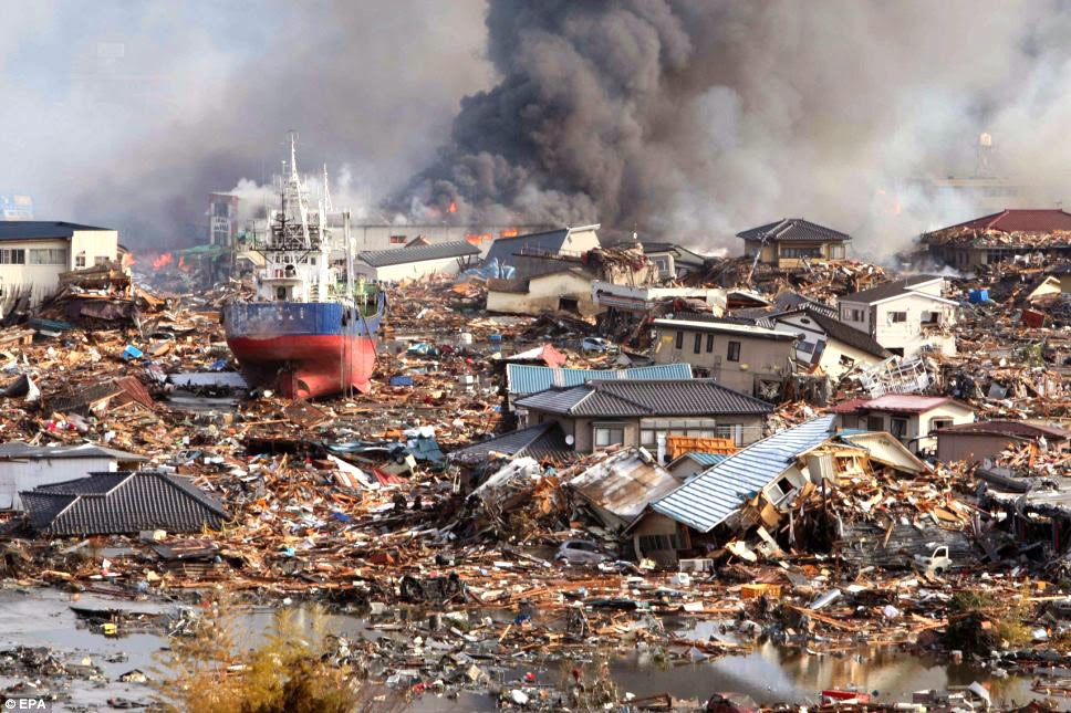 Essay tsunami disaster 2004